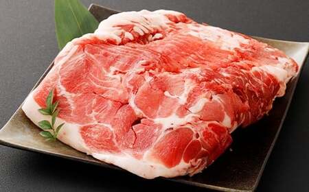 （飼育期間中）完全無薬！ 梅肉エキス肥育 熊本県産 天草梅肉ポーク 豚肩スライス 1.5kg 500g×3パック 肉 お肉 豚肉 豚肩肉 肩肉 肩ロース肉 肩ロース ロース 冷凍 熊本県 上天草市