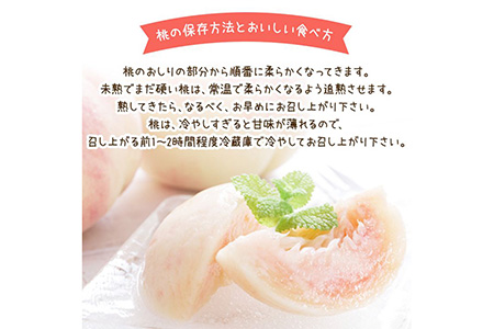 【先行予約】【夏の美味】フルーツ王国 和歌山の桃 約2kg 化粧箱入り | もも （fr-06）