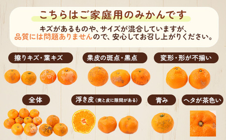 家庭用 小玉な有田みかん2.5kg+250g（傷み補償分）【わけあり・訳あり】【光センサー選果】