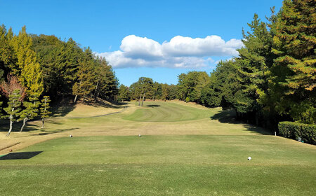 伊深の森 カントリー クラブ 利用券 1枚 3,000円分 | ゴルフ ゴルフ場 券 チケット 岐阜 岐阜県 M12S82