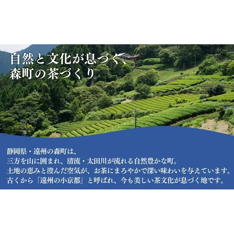 お茶 いしだ茶屋 訳あり 静岡茶 5袋 セット 煎茶 緑茶
