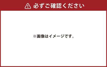 タブレットタイプ「汗をかいたら、塩分補給」 約12g×24個 タブレット 塩分