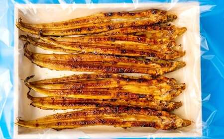 兵庫県産 焼穴子 約300g入（約6～10匹） あなご アナゴ 海鮮 魚介