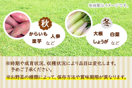 熊本県大津町産 季節の野菜セット(6～8種類)《60日以内に出荷予定(土日祝除く)》野菜 冷蔵 JA菊池 大津中央支所 とれたて市場