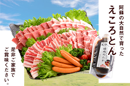 えころとん・豚肉5種(計1025g) バーベキュー・焼肉のたれセット《60日以内に出荷予定(土日祝除く)》熊本県産 有限会社ファームヨシダ