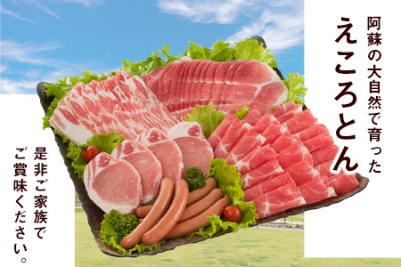 えころとん・豚肉5種(計1135g) バラエティセット《60日以内に出荷予定(土日祝除く)》熊本県産 有限会社ファームヨシダ