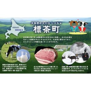 北海道産カラマツACQカラマツ枕木（200×75×2000）10本セット【配送不可：沖縄・離島】