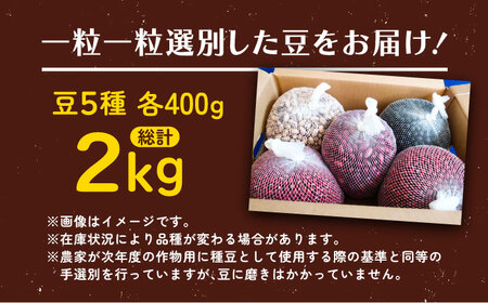 北海道 あしょろの豆 5種 計2kg（各400g×各1袋）《足寄町》【党崎農場】[BEAA011]