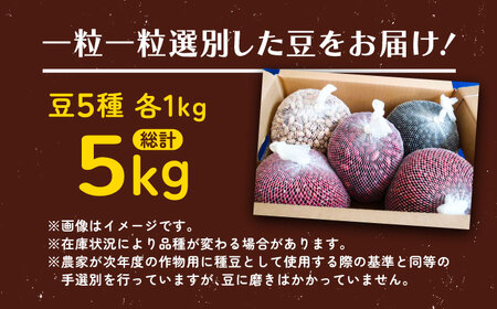 北海道 あしょろの豆 5種 計5kg（各1kg×各1袋）《足寄町》【党崎農場】[BEAA012]