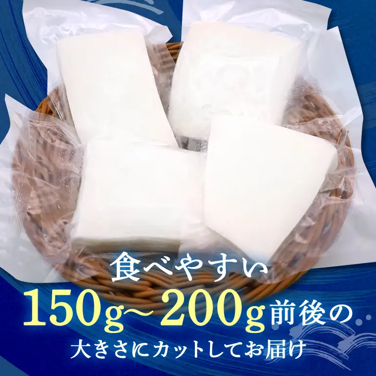 ソデイカ 約3kg いか  セーイカ