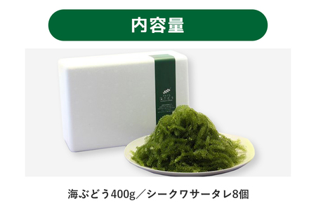 朝採れ! ぷちぷち 海ぶどう 400g 沖縄県産 海ブドウ たれ付き 無着色 沖縄 特産品 沖縄グルメ 海の宝石 海藻 海ぶどう丼 サラダ おつまみ おかず 沖縄料理 常温保存 贈答用 ギフト 産地直送 沖縄県 糸満市