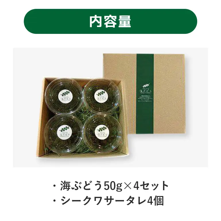朝採れ! ぷちぷち 海ぶどう 小分け セット 200g 沖縄県産 海ブドウ たれ付き 無着色 沖縄 特産品 沖縄グルメ 海の宝石 海藻 海ぶどう丼 サラダ おつまみ おかず 沖縄料理 常温保存 贈答用 ギフト 産地直送 沖縄県 糸満市