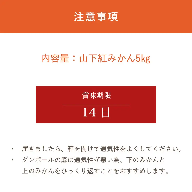 『先行予約』【令和8年11月発送】山下紅みかん(ハウス栽培)唐津産 5kg ミカン 蜜柑 果物 フルーツ