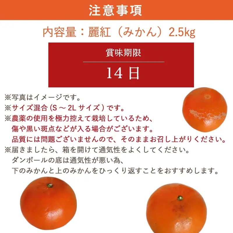 『予約受付』【令和9年1月下旬発送】麗紅(れいこう) ハウス栽培 唐津産 2.5kg 混合サイズ みかん 蜜柑 柑橘 果物 フルーツ