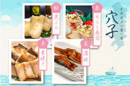 穴子 一夜干 3枚 300g以上【穴子 国産 合計300g以上 穴子干物 3枚 魚介類 魚 あなご アナゴ 干物 食べ切りサイズ 無添加 天日塩 新鮮 冷凍 真空パック 贈答 ギフト 父の日 母の日】