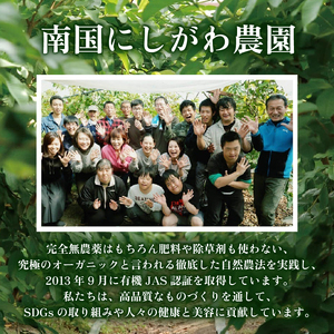 【グァバ茶】有機JAS認証 有機グアバ農園の土佐國グァバ茶（2g×10包）国産有機栽培の葉100％