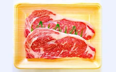 土佐あかうし 和牛サーロイン／ステーキ 500g（250g×2枚） | あか牛 赤身 旨味 希少 幻 贈り物 ギフト 高知県 南国市