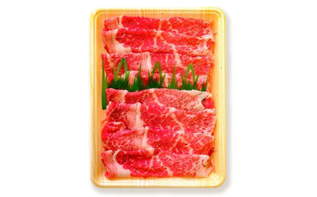 土佐あかうし 和牛バラ／すき焼き用 500g | あか牛 赤身 旨味 希少 幻 贈り物 ギフト 高知県 南国市