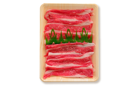 土佐あかうし 和牛ブリスケ／すき焼き用 500g | あか牛 赤身 旨味 希少 幻 贈り物 ギフト 高知県 南国市