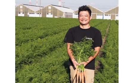 【予約受付】＜フジテレビ『どっちのふるさと？』で紹介されました！＞こどもも食べられる甘み！ジュースにしても美味しい！「マドンナキャロット」 3kg にんじん 人参 ニンジン 野菜 やさい 国産 碧南市 健康 甘い 先行予約 旬 特産 高評価 高リピート 人気 2026年度発送 H105-122