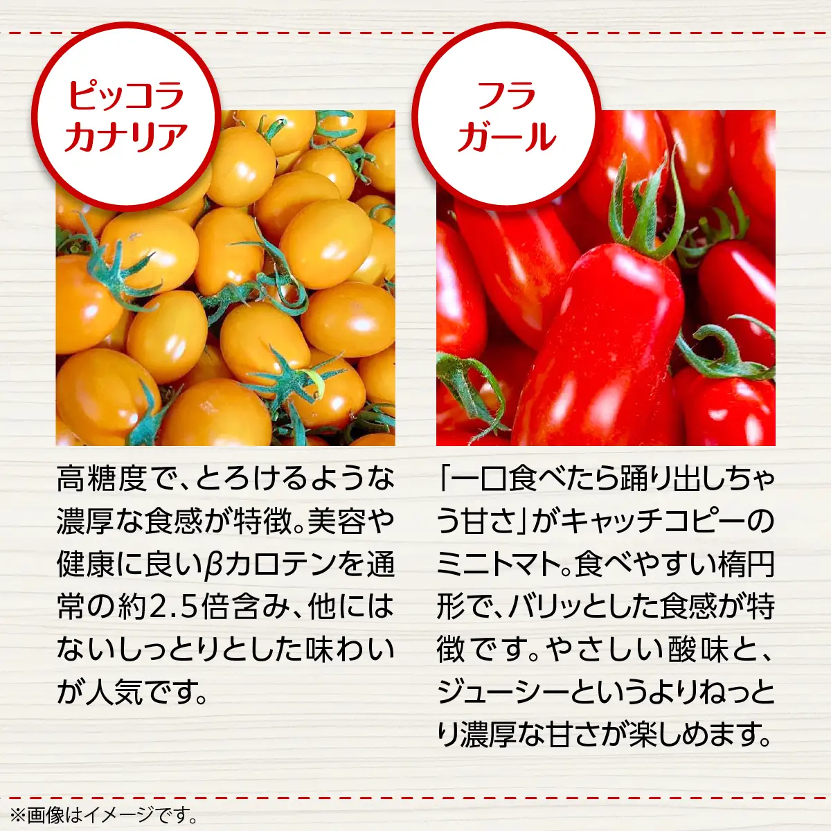 ＜2026年7月上旬よりお届け＞【農園直送】北海道壮瞥産　彩りミニトマト約2.7kg SBTO004