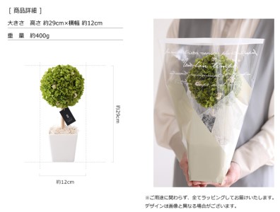 プリザーブドフラワー アナベル（トピアリー） プリザーブドフラワー 花 フラワーインテリア　ギフト　プレゼント 　贈答　新築祝い　転居祝い