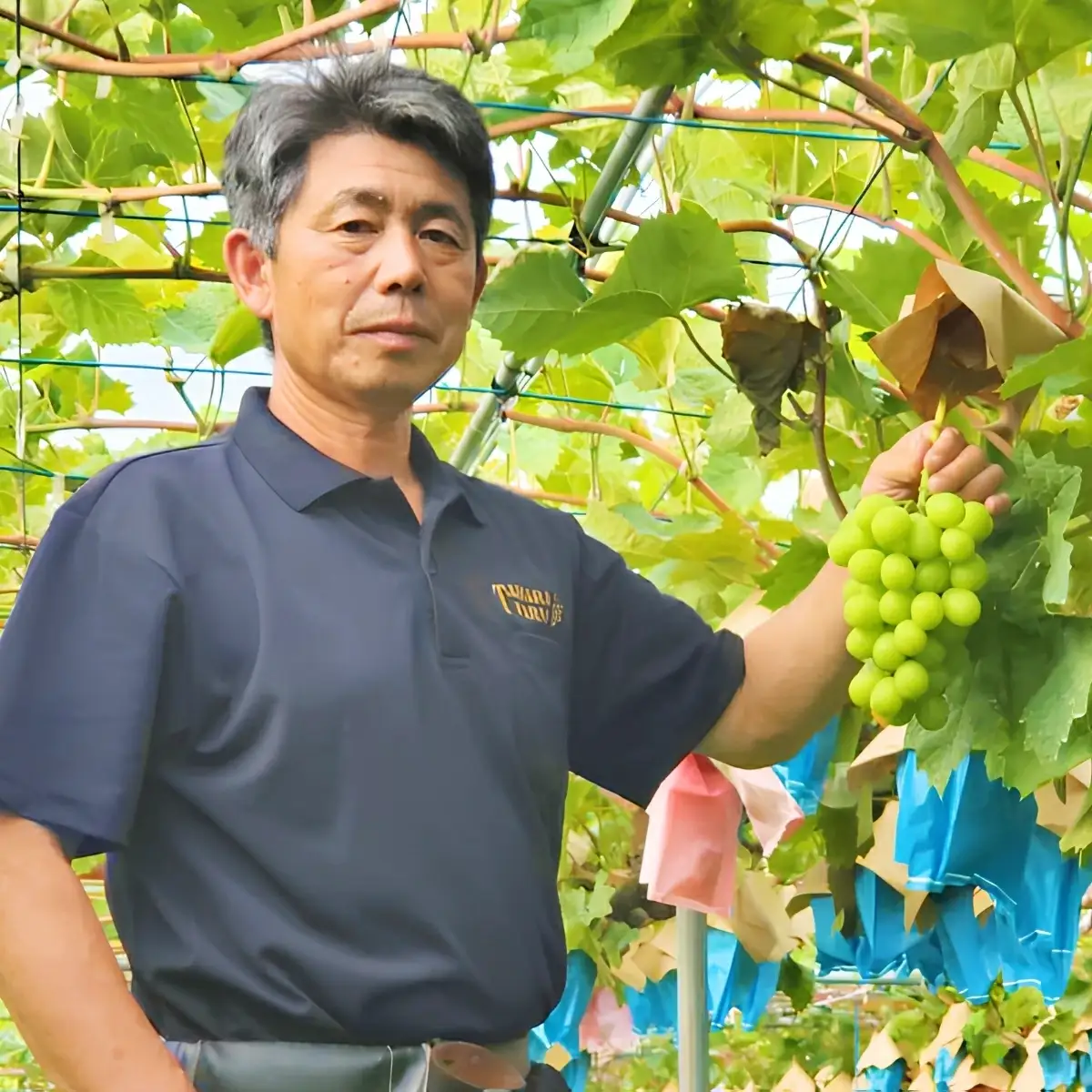 シャインマスカット 黒系ぶどうセット 1kg | シャインマスカット