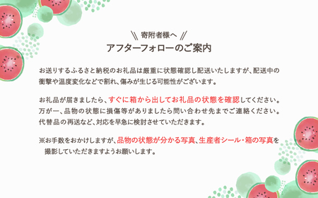 尾花沢すいか スイカ 2Lサイズ×2玉 令和8年産 ja-su2xx2