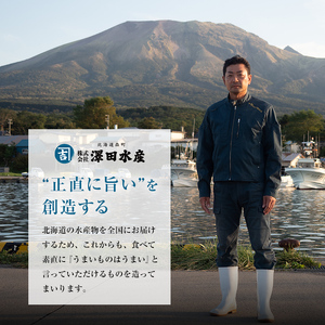 噴火湾の便り たらこ&バラ明太子セット＜カネキチ澤田水産＞ 魚卵 たらこ 明太子 森町 ふるさと納税 北海道 mr1-0054