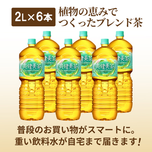 『定期便：全6回』爽健美茶2000mlPET×6本【38000902】