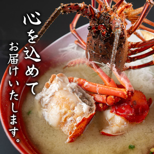 【C47001】≪数量限定≫冷凍イセエビぶつ切り(約1.4kg・加熱用) 鹿児島 国産 魚介 伊勢エビ 伊勢海老 伊勢えび いせえび イセエビ 刺身 お味噌汁 ギフト 贈答 水揚げ 冷凍し 小分け 真空パック【網元】