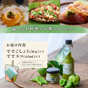 【P60001】＜先行予約受付中！2026年9月下旬以降準備が整い次第順次発送＞ででこしょう＆ででスコセット(ででこしょう30g・ででスコ65ml) 香辛料 スパイス だいだい 橙 辺塚だいだい お取り寄せ ギフト 贈答 【岸良リトリート】