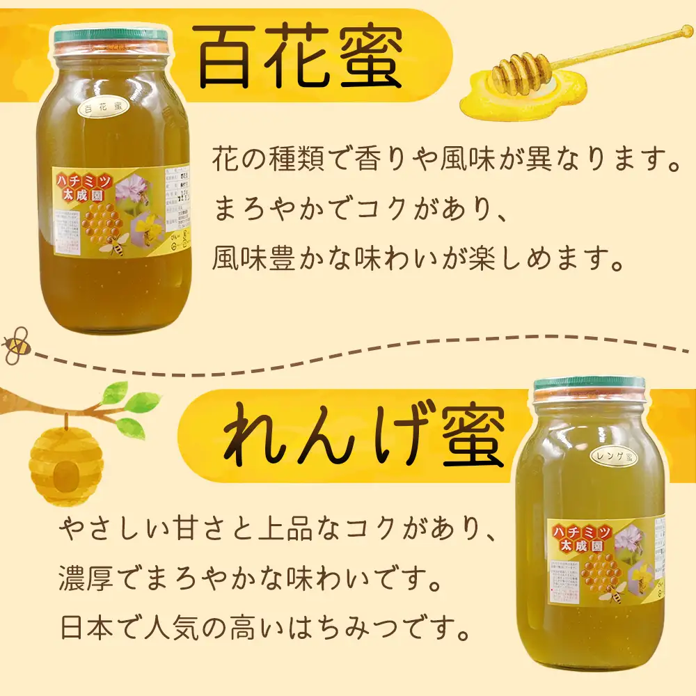 蜂蜜（レンゲ蜜１.２ｋｇ、百花蜜１.２ｋｇ）セット K2