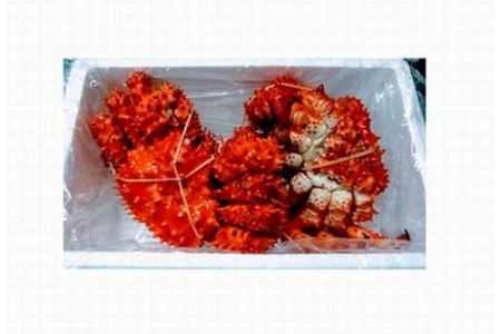 【北海道根室産】花咲ガニ450～600g×2尾 A-57038
