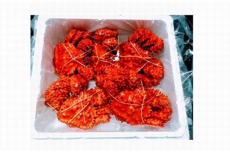 【北海道根室産】花咲ガニ300～400g×5尾 B-57016