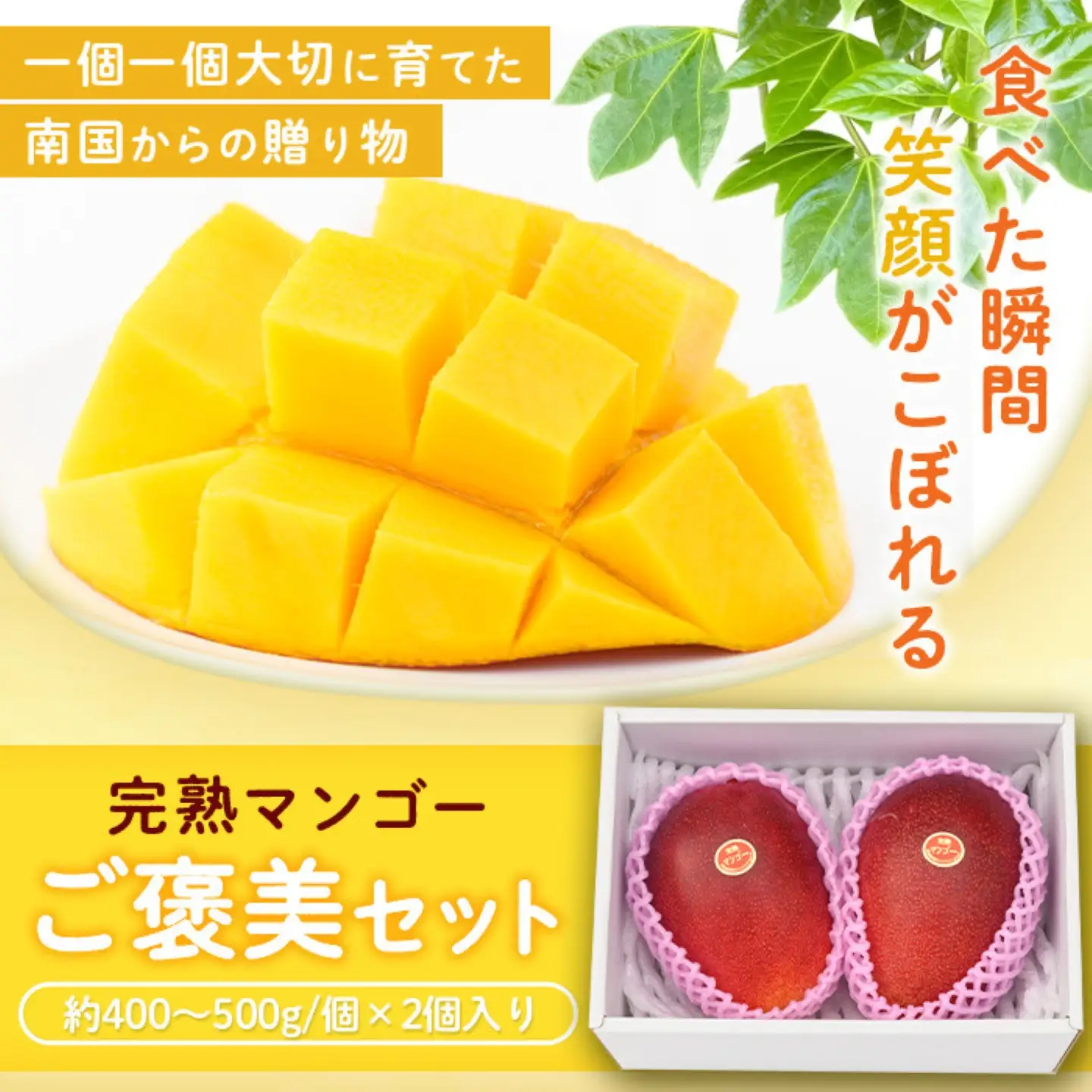 【B15002】肝付町産 完熟マンゴー ご褒美セット 約400~500g×2個【SHOWAマンゴー農園】
