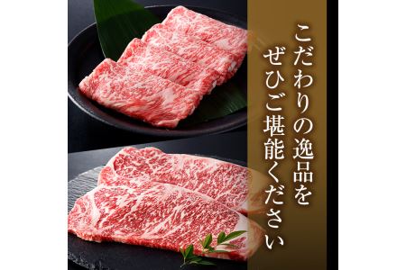 i317 ≪鹿児島県産黒毛和牛≫出水市産北さつまのむら牛 黒毛和牛＜計1kg＞サーロインステーキ(200g×2枚)、リブロース(300g×2パック)のセット！肉質のきめが細かく旨味の凝縮された牛肉をすき焼き・ステーキで！  牛肉 肉 黒毛和牛 国産 サーロイン ステーキ リブロース 詰め合わせ セット すき焼き 旨み 絶品 冷凍【吉澤商店】