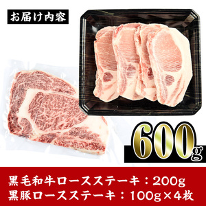i364 鹿児島県産黒豚・黒毛和牛詰め合わせ(黒毛和牛ロースステーキ200g、黒豚ロースステーキ400g)牛肉・豚肉の食べ比べ！ 牛肉 豚肉 国産 鹿児島県産 詰め合わせ ロース ステーキ 食べ比べ 冷凍 おかず 焼肉 BBQ バーベキュー【スーパーよしだ】