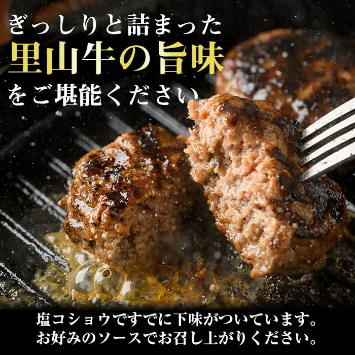 国産黒毛和牛 牧草育ちの里山牛100%使用！手作りハンバーグ 1kg (100g×10個） 黒毛和牛 和牛 肉 牛肉 国産 ハンバーグ 100% 小分け 惣菜 a5-276