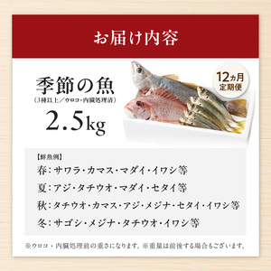 【12ヶ月定期便】大和海商の朝どれ鮮魚直送便　 2.5㎏ N072-YG0257