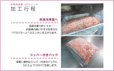 便利なチャック付きパック入り！宮崎産豚ミンチ 2kg【B459-60】