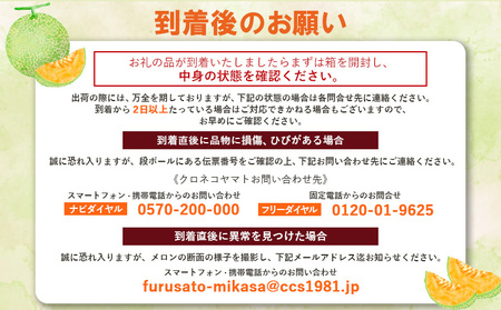 《2026年分受付中》大玉！とろける食感の北海道三笠メロン2玉入(3.2kg以上)【0106203】