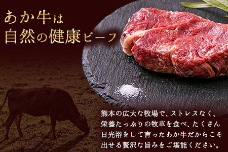 あか牛（褐毛和牛） ヒレステーキ 450g  フィレ ヘレ《90日以内に出荷予定(土日祝除く)》 