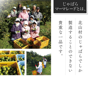 じゃばらマーマーレード 140g×2個 【njb333A】