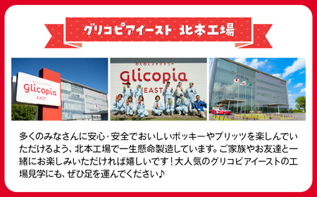 グリコ 人気お菓子 10種 詰め合わせ | お菓子 おかし