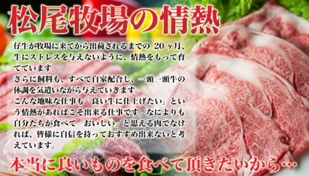 伊万里牛 ぎゅ～と 定期便 スペシャル 3回便 すき焼き ステーキ 焼肉 999-J319