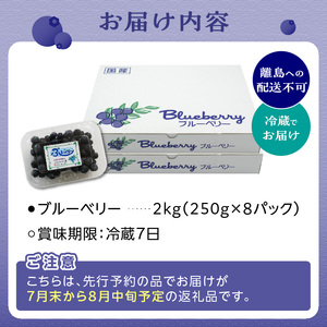 【2026年発送】 先行予約 木津川市産ブルーベリー2kg 生ブルーベリー 新鮮 国産 果物 小分け 080-03