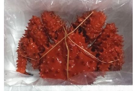 花咲がに800g前後×1尾(チルド便) B-57020