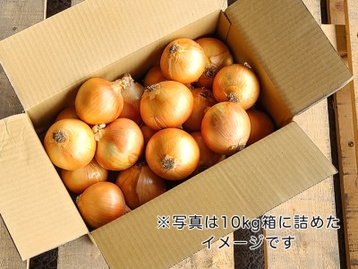 兵庫県認証食品★特別栽培★淡路島たまねぎ【10kg】