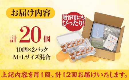 【全12回定期便】アルギニン元気たまご20個【浅田峠自然塾】[EA04] 卵 定期便 卵 平飼い卵 たまご